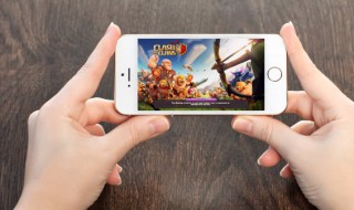 经典好听的游戏宠物名字简单易记（有趣的游戏宠物名字）