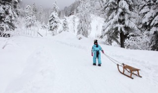 形容雪的优美诗句（形容雪的优美诗句有哪些）