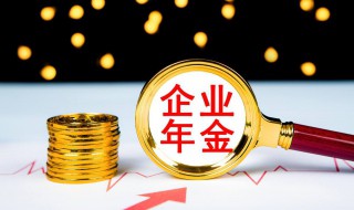 企业年金怎么查询个人账户 个人企业年金怎么查询个人账户