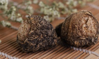 玛咖菌营养价值和功效 玛咖菌和玛咖的区别