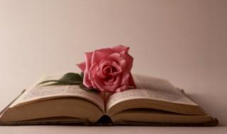 关于描写月亮的温柔浪漫文案 关于月亮的唯美浪漫的文案