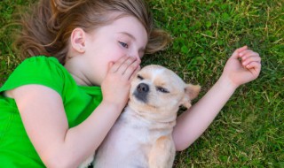 给宠物狗起名字能够与主人和谐相处（用主人的名字给狗狗取名字）
