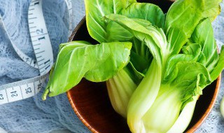 上海青的功效与营养价值（上海青有啥营养价值）