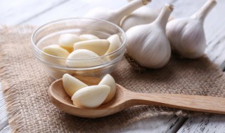 沙蒜的营养价值与功效 沙蒜的作用