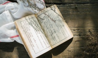 雪古诗（雪古诗罗隐带拼音）