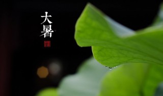 2022大暑节气经典说说祝福语（大暑节气祝福短语）