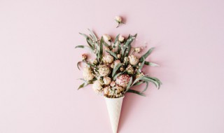 永生花养护有哪些技巧（永生花注意事项）