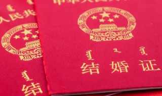 男牛女鸡结婚会分开吗(男牛女鸡婚姻长久吗)