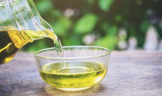 豆油的营养价值和功效（油豆的营养与功效）