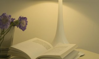 暗示自己不再心动的文案(表达不会心动的文案)