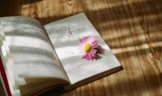 走心又精辟的朋友圈文案 朋友圈文案朋友走心