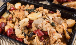 田鸡和牛蛙的区别是什么 田鸡和牛蛙有什么不同