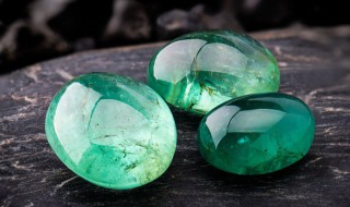 蓝翡翠怎么养 蓝翡翠好不好