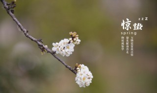 惊蛰到来后天气有什么变化(惊蛰以后的天气)