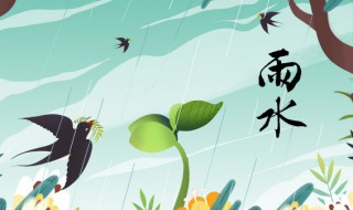 雨水吃什么传统食物(雨水吃什么传统食物 节气北方)