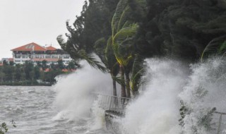 台风是怎么命名的?是谁给命名的 台风名称是根据什么命名的