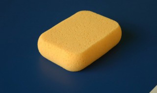 海绵属于什么垃圾分类（海绵是属于什么垃圾分类）