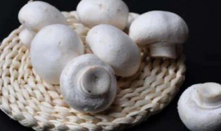 口蘑多少钱一斤 口蘑多少钱一斤2021