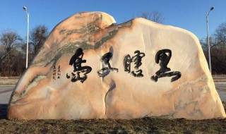 黑瞎子岛在哪（黑瞎子岛在哪里）