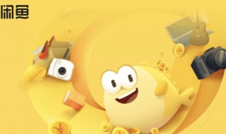 闲鱼拍下未付款多久别人才能拍(闲鱼拍下了未付款别人还能拍吗)