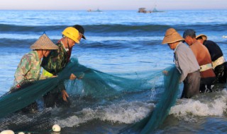 孕妇梦见鳄鱼预示着什么 孕妇梦见鳄鱼怎么回事