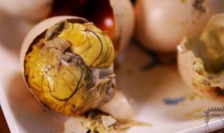 实蛋和毛蛋的区别 实蛋和毛蛋有什么区别