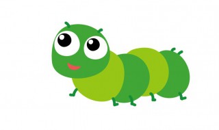 毛毛虫吃什么（毛毛虫吃什么呢绘本故事内容）