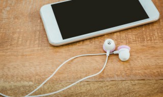 耳机l是左是右（耳机L是左还是右边）