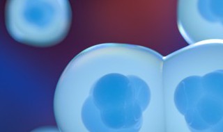 原核生物与真核生物的区别（原核生物与真核生物的区别图）