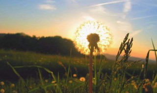 快手怎么发文案吸引人（快手什么文案吸引人）