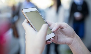 挪骚窝是什么意思 什么叫挪骚窝子