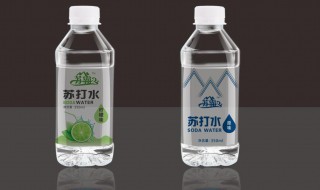 正规苏打水的配料表 苏打水是用什么配料做出来的?