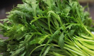 皇帝菜是什么菜