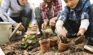 飘香藤怎么养才长得好长得茂盛（盆栽飘香藤好养吗）