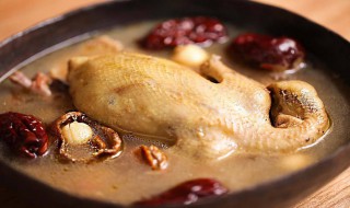 煲鸽子汤需要哪些食材（煲鸽子汤需要什么食材）