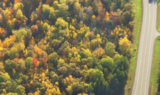 森林草原防火十不准内容（森林草原防火十个不准）