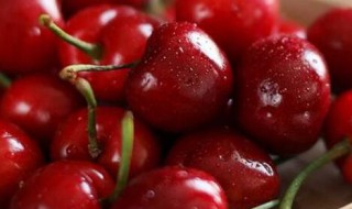 车厘子stella是什么品种 lucky车厘子是什么品种