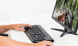 艾尔登法环艾尔登之王结局攻略（艾尔登法环讲的是什么）