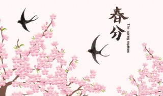 2022年春分可以作灶吗（2020年什么日子适合作灶）