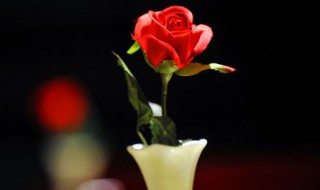 妇女节礼物（妇女节礼物手工制作简单）