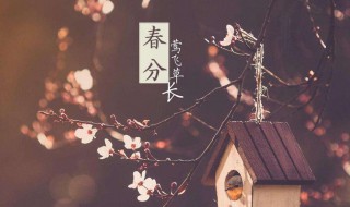 春分是农历哪天（农历什么时间春分）