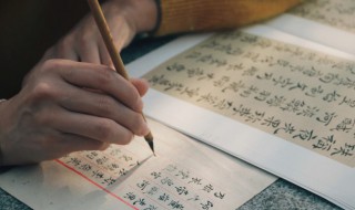 薏字的寓意是什么意思 薏的寓意和象征