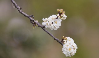 2022年惊蛰是在哪一天(2022惊蛰是几月几号)