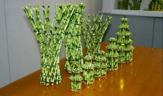 富贵竹冬天怎么养不会死 富贵竹冬天会死吗?