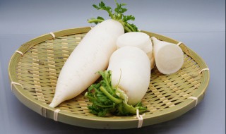 白萝卜丝包子馅的做法 白萝卜丝包子馅的做法窍门