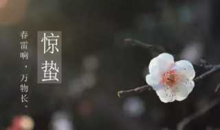 2022年惊蛰有什么宜忌 2021年惊蛰过后生的算惊蛰嘛