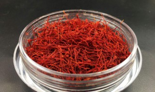 红景天与藏红花是不是同一种植物 藏红花是植物吗