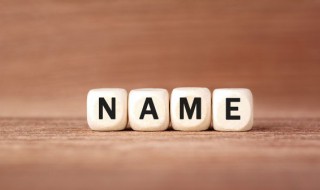 很简单的名字（简单的名字）