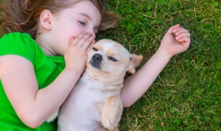 土字旁高雅的女孩名字 土字旁的女孩名字温文尔雅