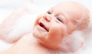 兔宝宝名字男孩 兔宝宝男孩名字大全